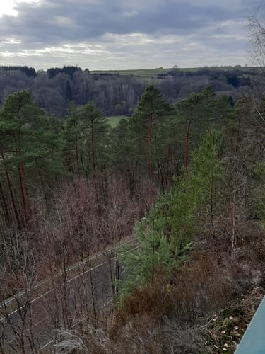 Waldfischbach Panoramarunde