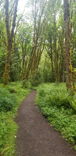 10 Best Hikes and Trails in Tryon Creek State Natural Area AllTrails