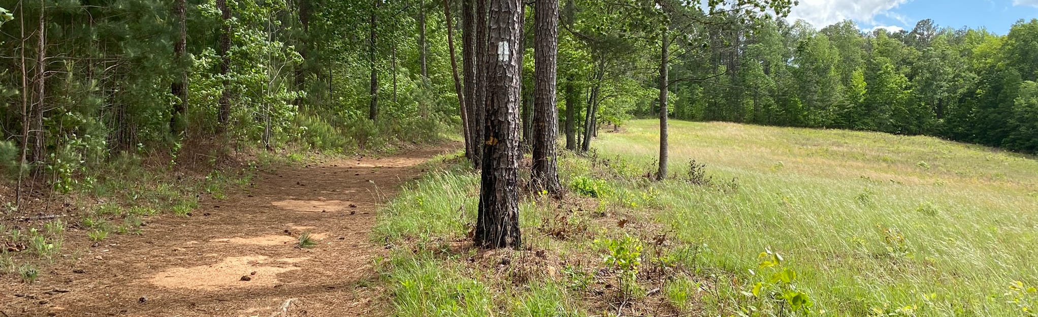 Pickett's Mill Red and White Loop, 435 Reviews, Map AllTrails