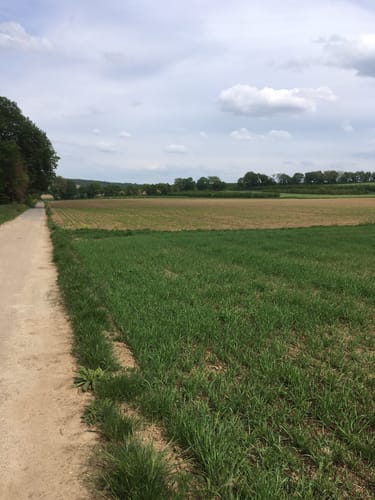 Panoramaweg Appenheim