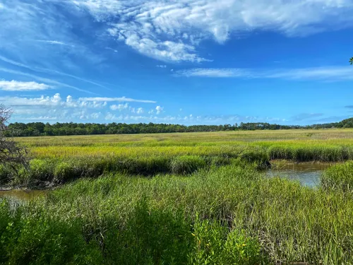 10 Best Trails and Hikes in Savannah | AllTrails