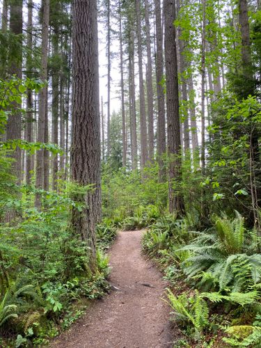 2023 Best 10 Trails and Hikes in Snohomish | AllTrails