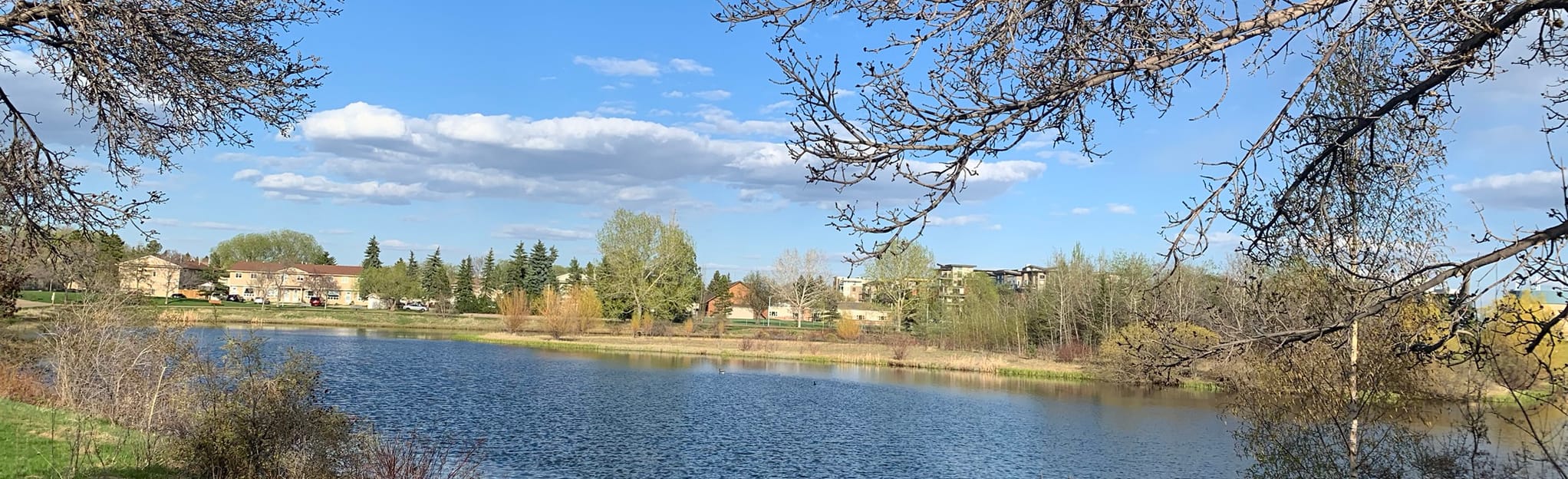 Broadmoor Lake Loop and Sherwood Park, Alberta, Canada 63 Reviews