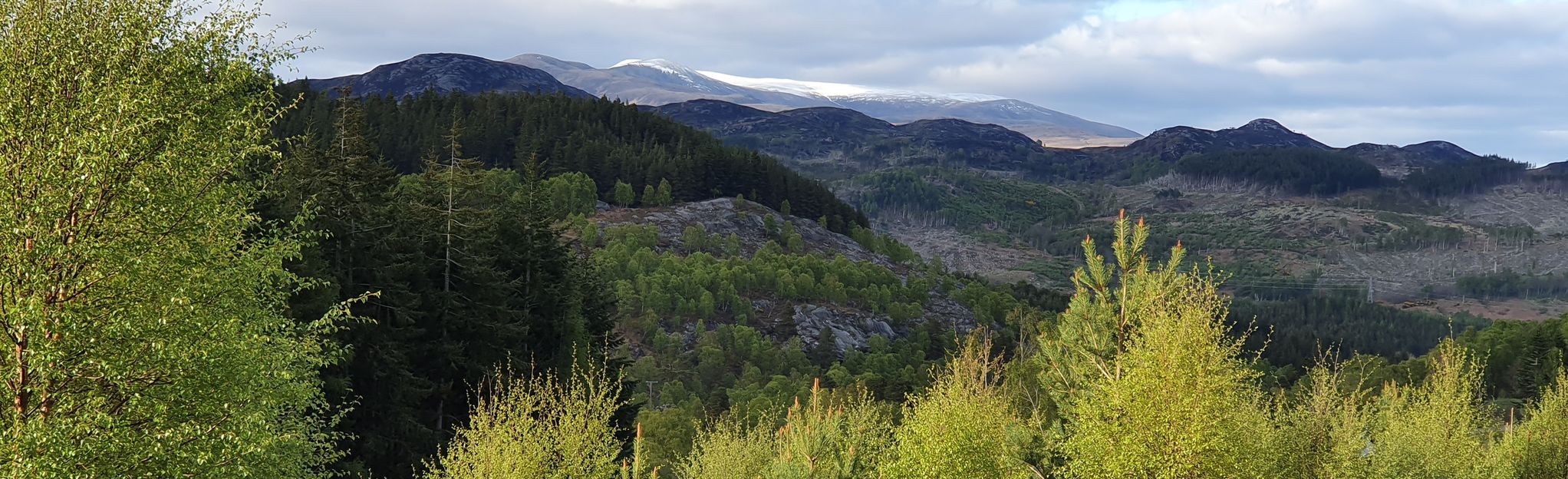 Loch Meig Forest: 11 Reviews, Map - Highlands, Scotland | AllTrails