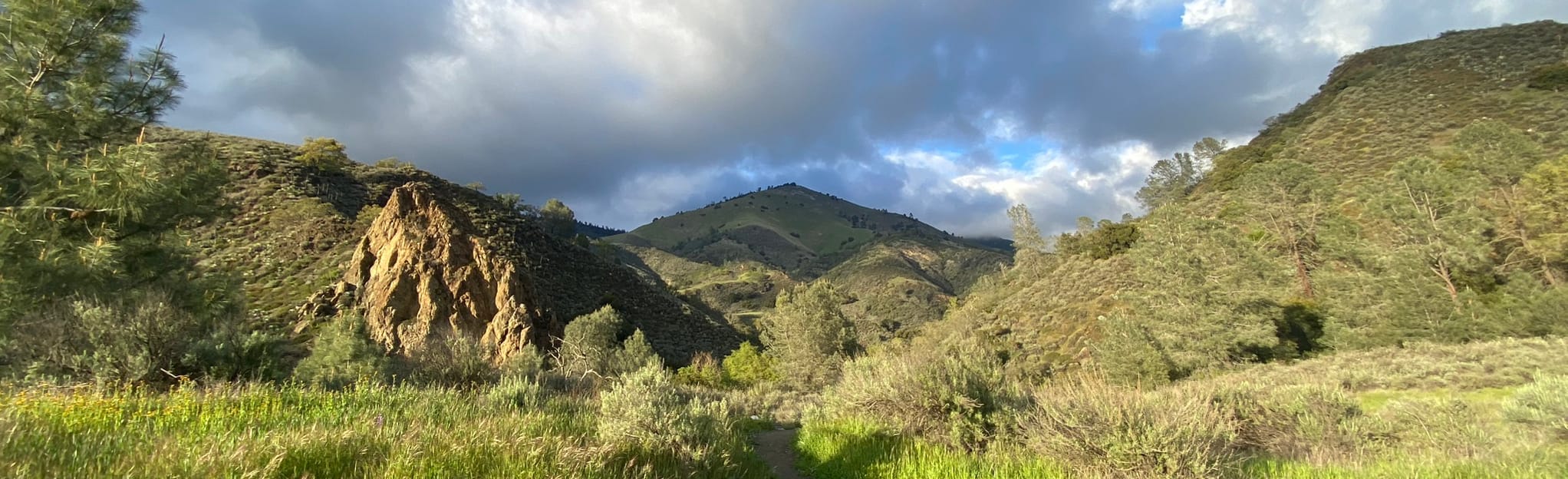Lover's Loop via Grass Mountain Trail: 867 Reviews, Map - California ...