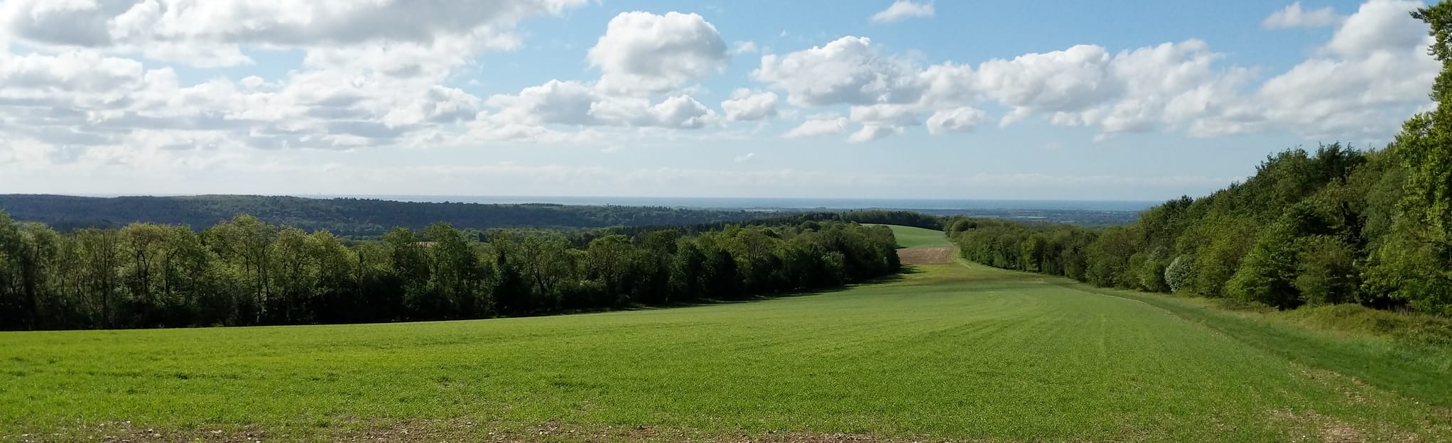 Eartham Woods Circular: 83 Reviews, Map - West Sussex, England | AllTrails