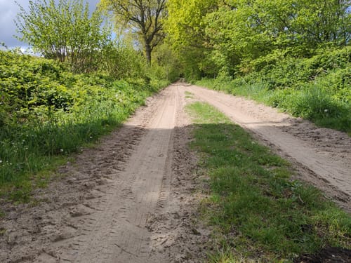 Rundwanderung bei Gudendorf
