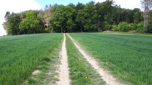 Rund um die Herbringhauser Talsperre