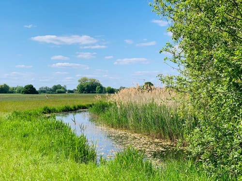 Kiwittsheider Rundweg