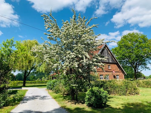 Kiwittsheider Rundweg