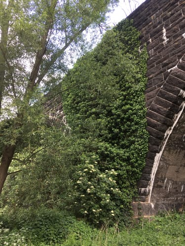 Kempten nach Frei-Weinheim 