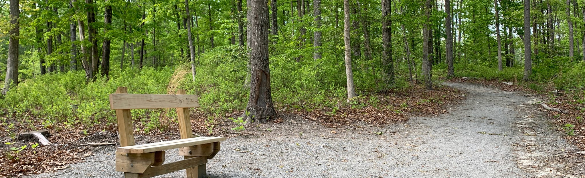Caroline Woodlands Trail, Virginia 115 Reviews, Map AllTrails