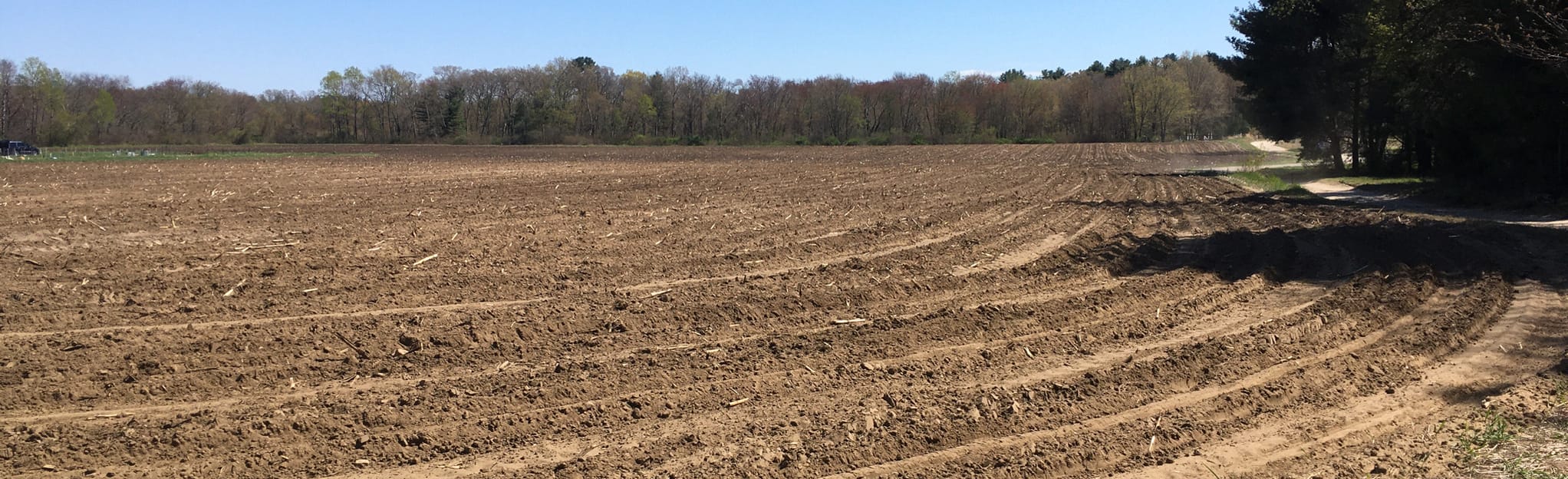 Foss Farm, Woods, and Pine Pitch Path Trail Loop Map, Guide Massachusetts AllTrails