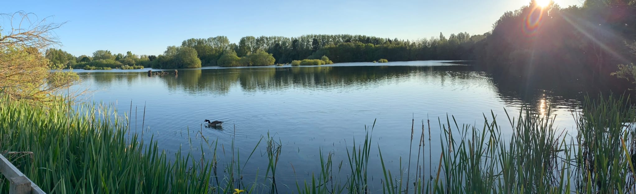 Thrupp Lake Circular 30 Reviews, 18 Photos, Map Oxfordshire, England