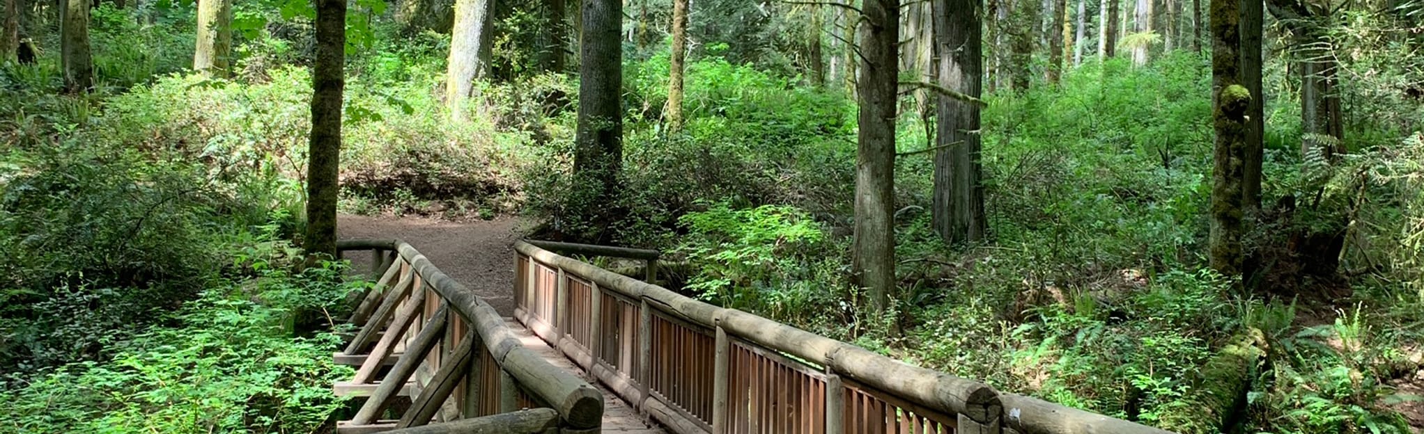 Grand Forest West Main Trail, Washington 231 Reviews, Map AllTrails