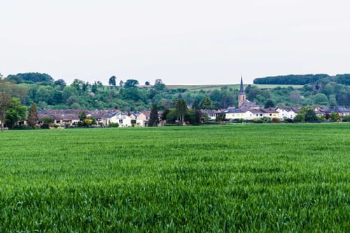 Professer Schürmann-Weg 42
