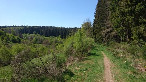 Höfen/Widdau - Bachtalrunde