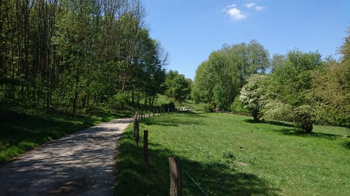 Rohren und Widdau