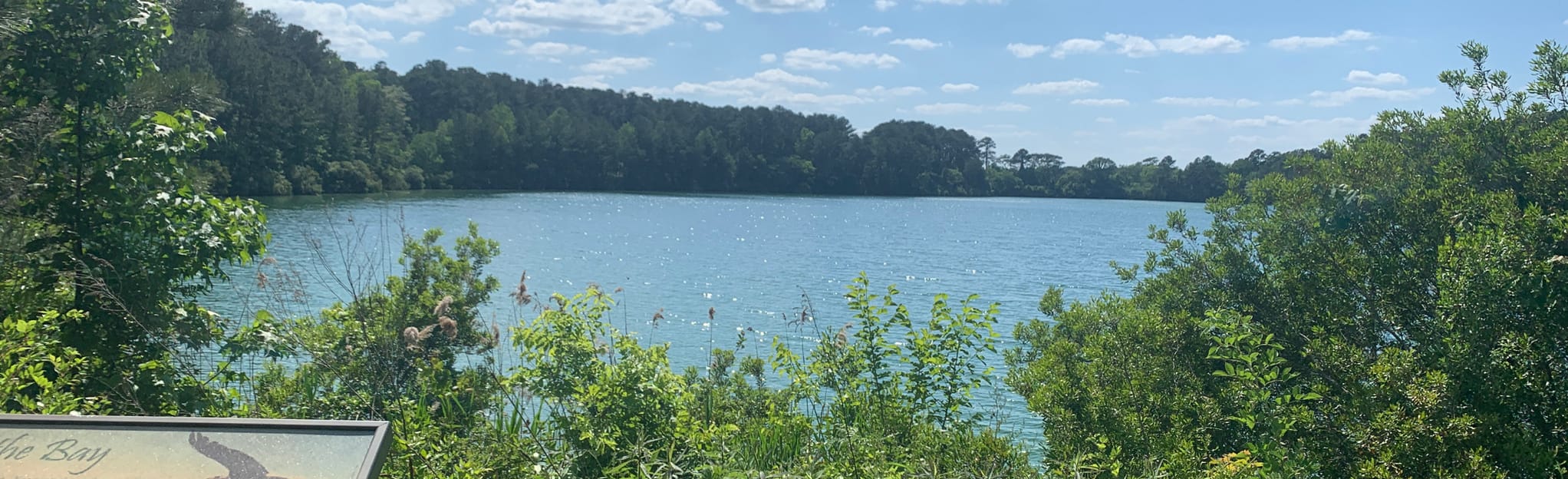 Lake Ballard Loop, Virginia - 72 Reviews, Map | AllTrails