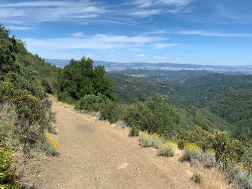 Best Hikes and Trails in Uvas Canyon County Park | AllTrails