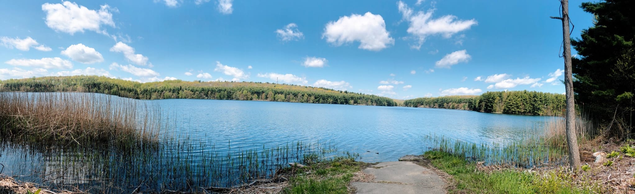 Lake Chamberlain Loop via Woodbridge Land Trust Blue Trail
