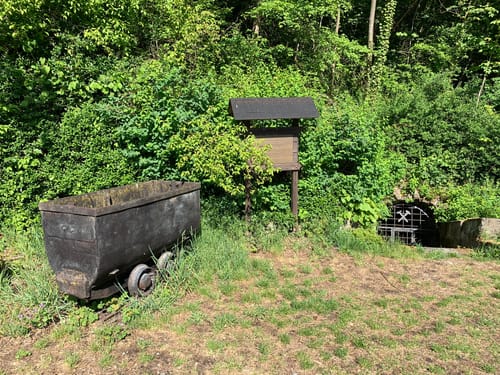 Auelandschaft Rosengarten