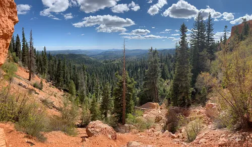 Best hikes in sale dixie national forest