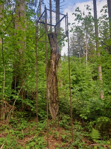 Skulpturenweg Maierhofen