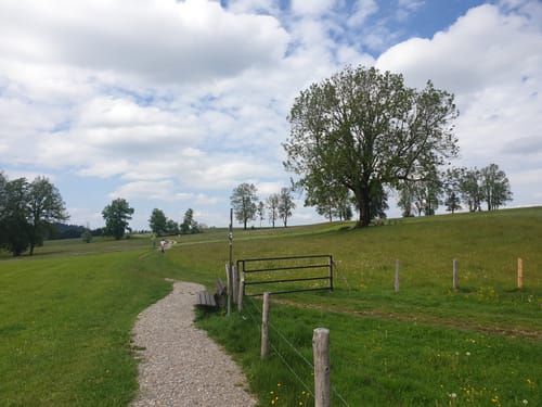 Wiesengänger-Route Etappe 17a: Isny - Oberstaufen