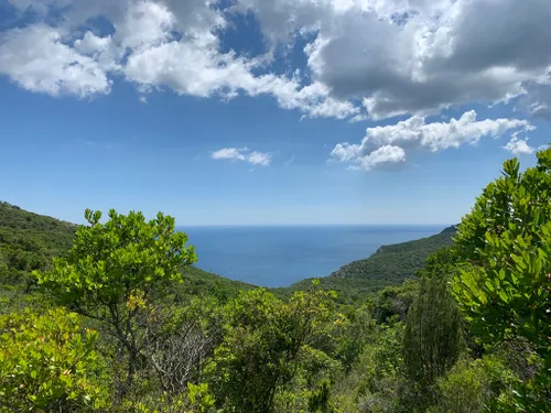 10 Best Beach Trails In Arrábida Nature Park Alltrails