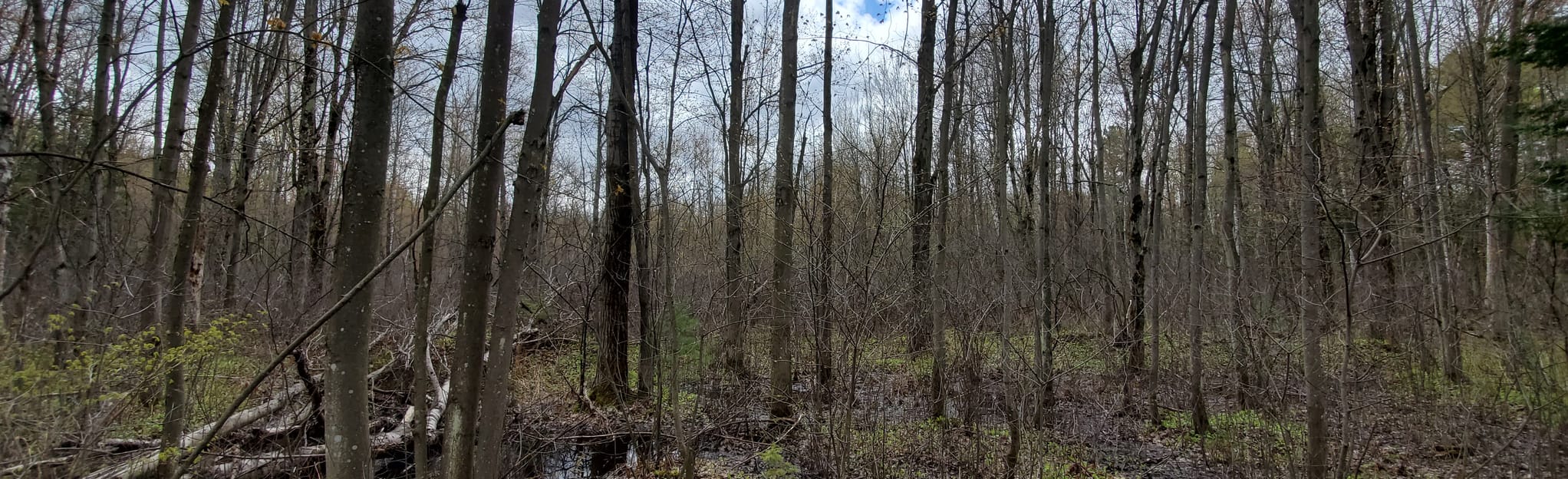 Greenbelt Pathway 18 foto's Ontario, Canada AllTrails