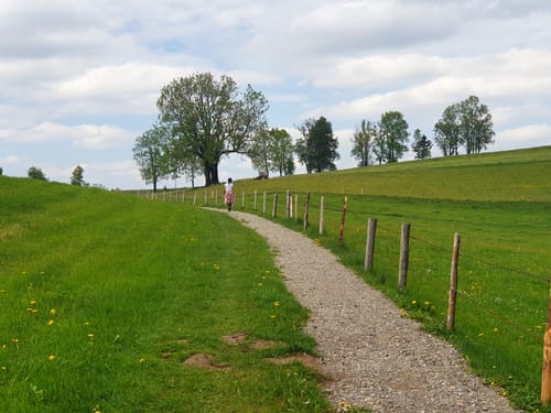 Skulpturenweg Maierhofen