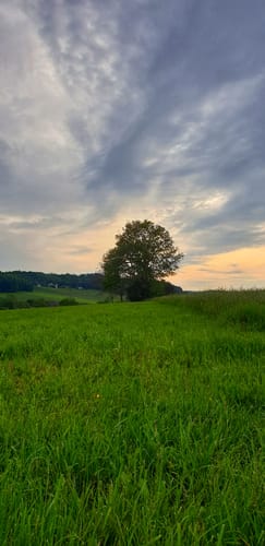 Waging am See - Plattenberg - Waginger See