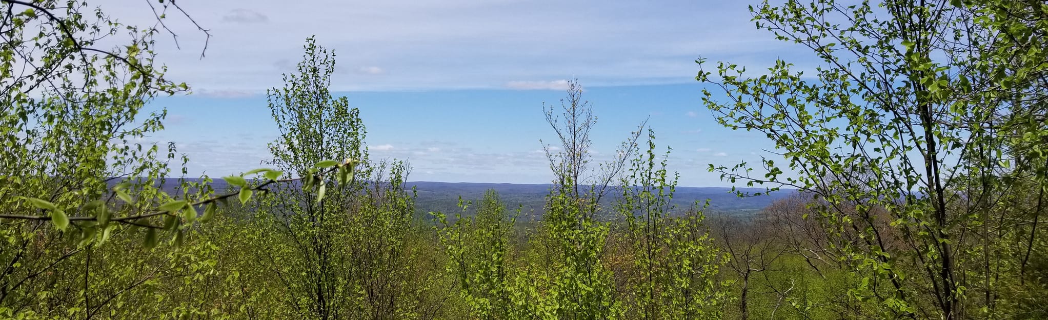 Buttermilk Falls Trail 246 Reviews, Map New Jersey AllTrails