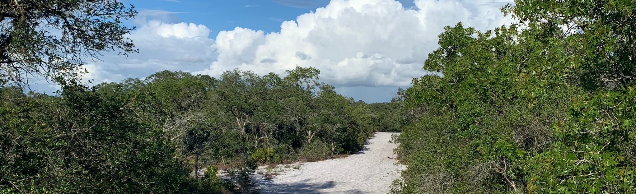 Catfish Creek North Horse Trail 65 Reviews, Map Florida AllTrails