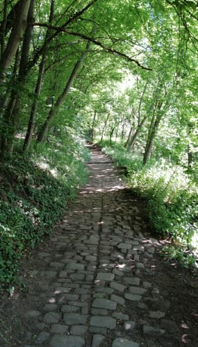 Carlsberg und Altleiningen Rundweg