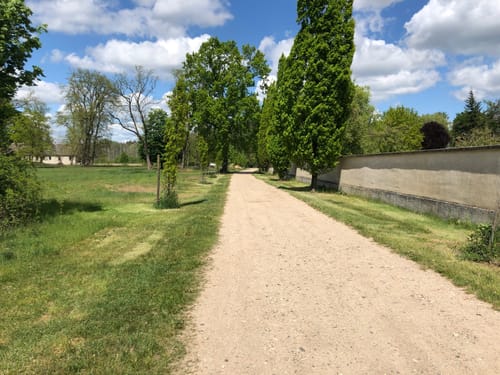 Hoppegarten - Maxsee - Torfstich