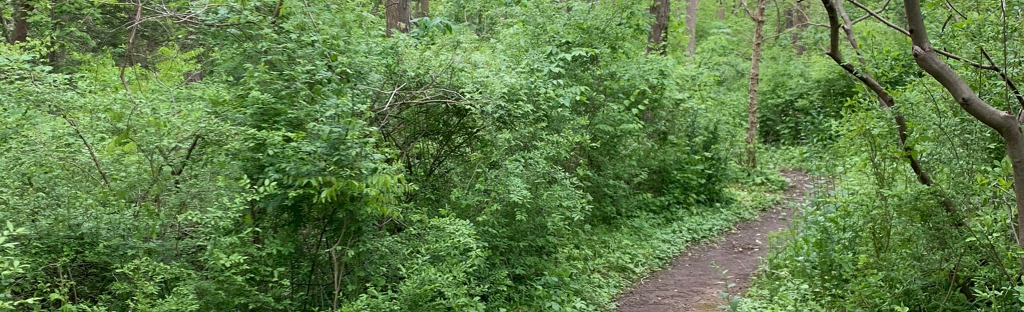 Ithan Valley Park Loop, Pennsylvania 90 Reviews, Map AllTrails