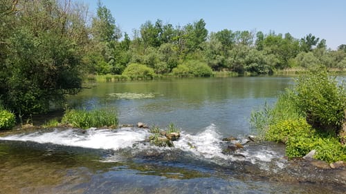 Kanufahrt Altrhein Ottenheim - Goldscheuer