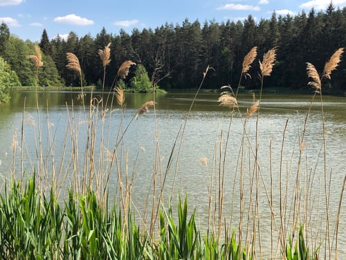 Schnaittach Rundtour Albhöhe - Osternoher Tal