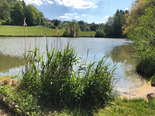 Neunkirchen am Sand Rundwanderweg Grün 1
