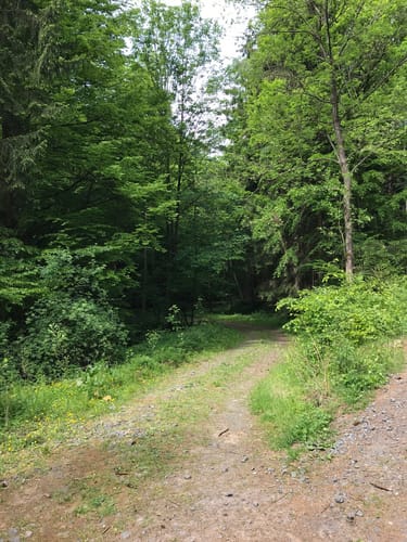 Bad Soden - Kinzigtalsperre - Steinau an der Straße