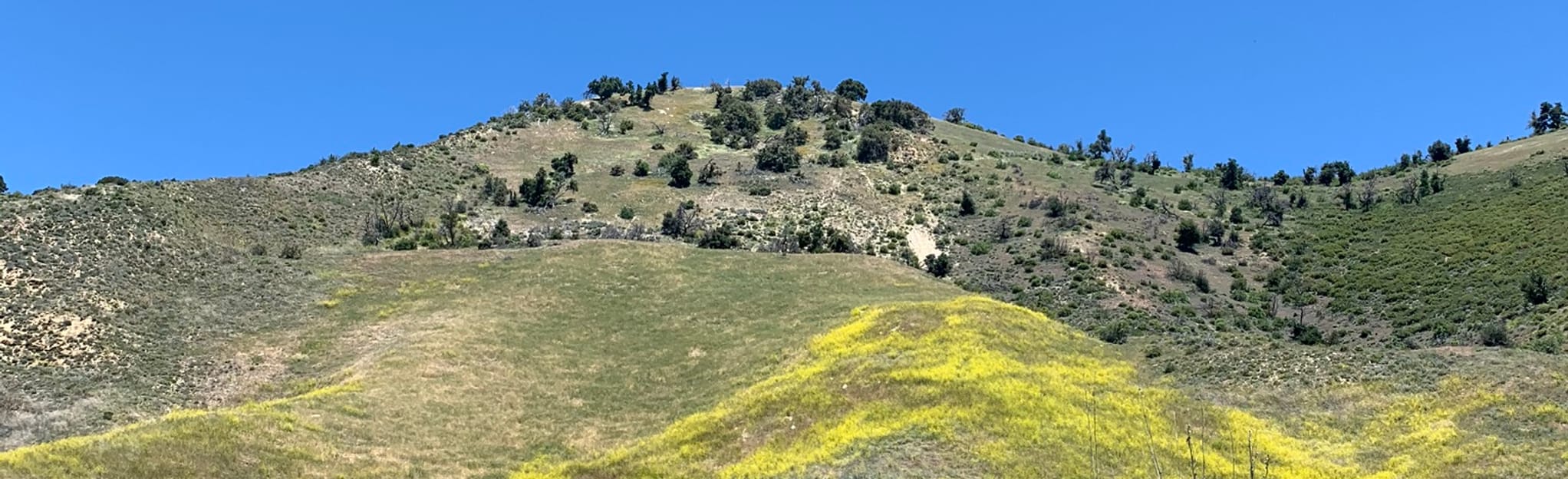 Little Pine Mountain Trail, California 25 Reviews, Map AllTrails