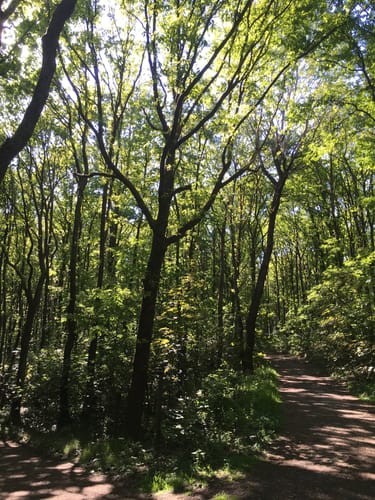 Obersdorfer Rundweg bei Siegen