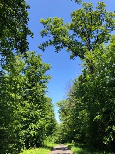 Von Markelsheim nach Apfelbach