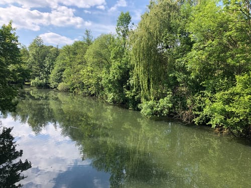 Von Bad Mergentheim nach Oberbalbach