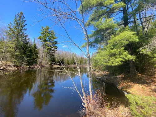 Best Hikes and Trails in Alexander Hope Smith Nature Reserve