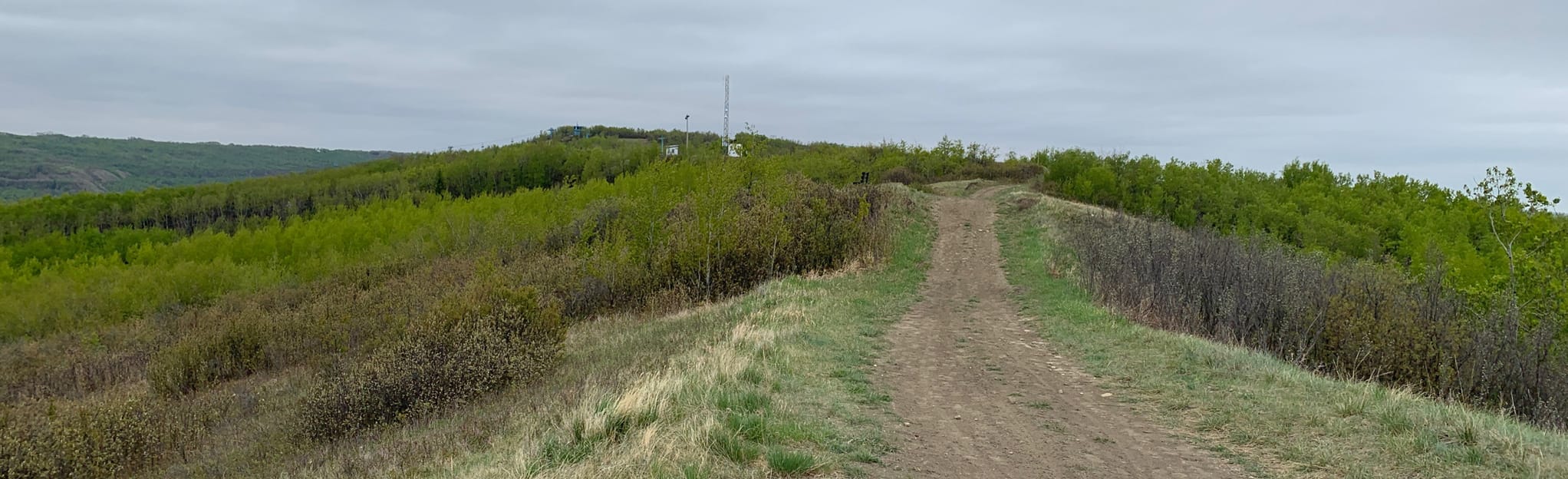 Misery Mountain Ridgeline Trail: 112 Reviews, Map - Alberta, Canada ...