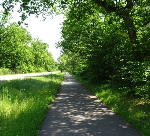 Von Rauenberg nach Haßloch
