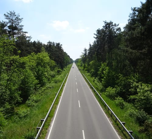 Rund um Haßloch (gelb)
